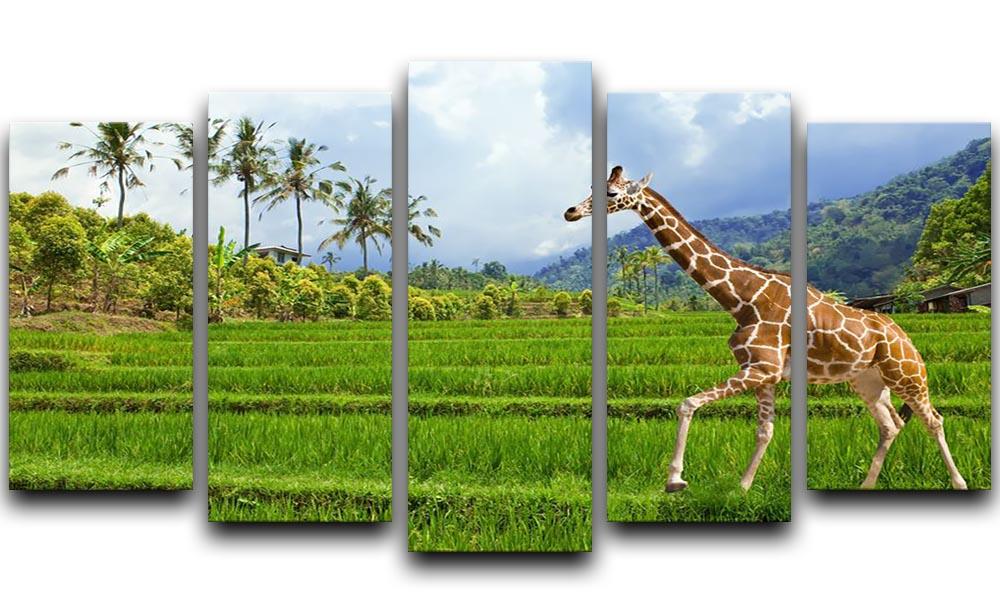 The giraffe goes on a green grass against mountains 5 Split Panel Canvas - Canvas Art Rocks - 1
