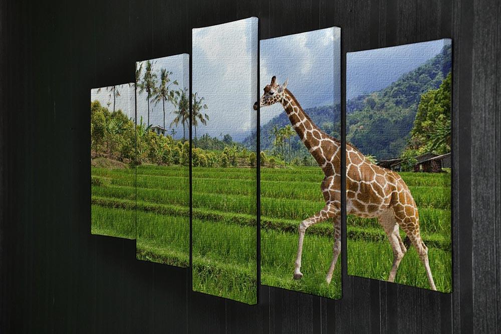 The giraffe goes on a green grass against mountains 5 Split Panel Canvas - Canvas Art Rocks - 2