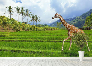 The giraffe goes on a green grass against mountains Wall Mural Wallpaper - Canvas Art Rocks - 4