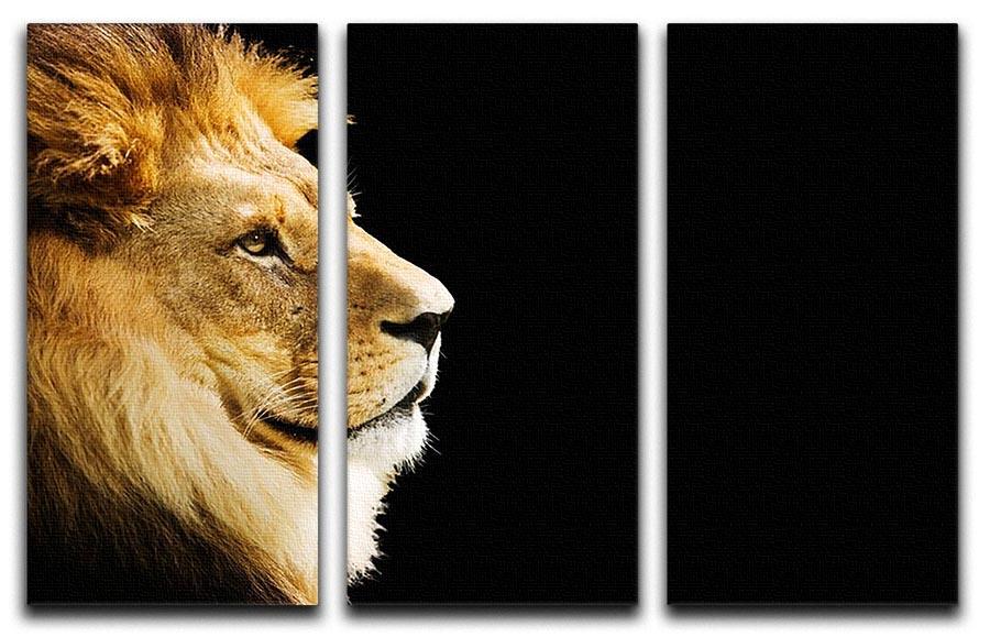 The king of all animals portrait 3 Split Panel Canvas Print - Canvas Art Rocks - 1