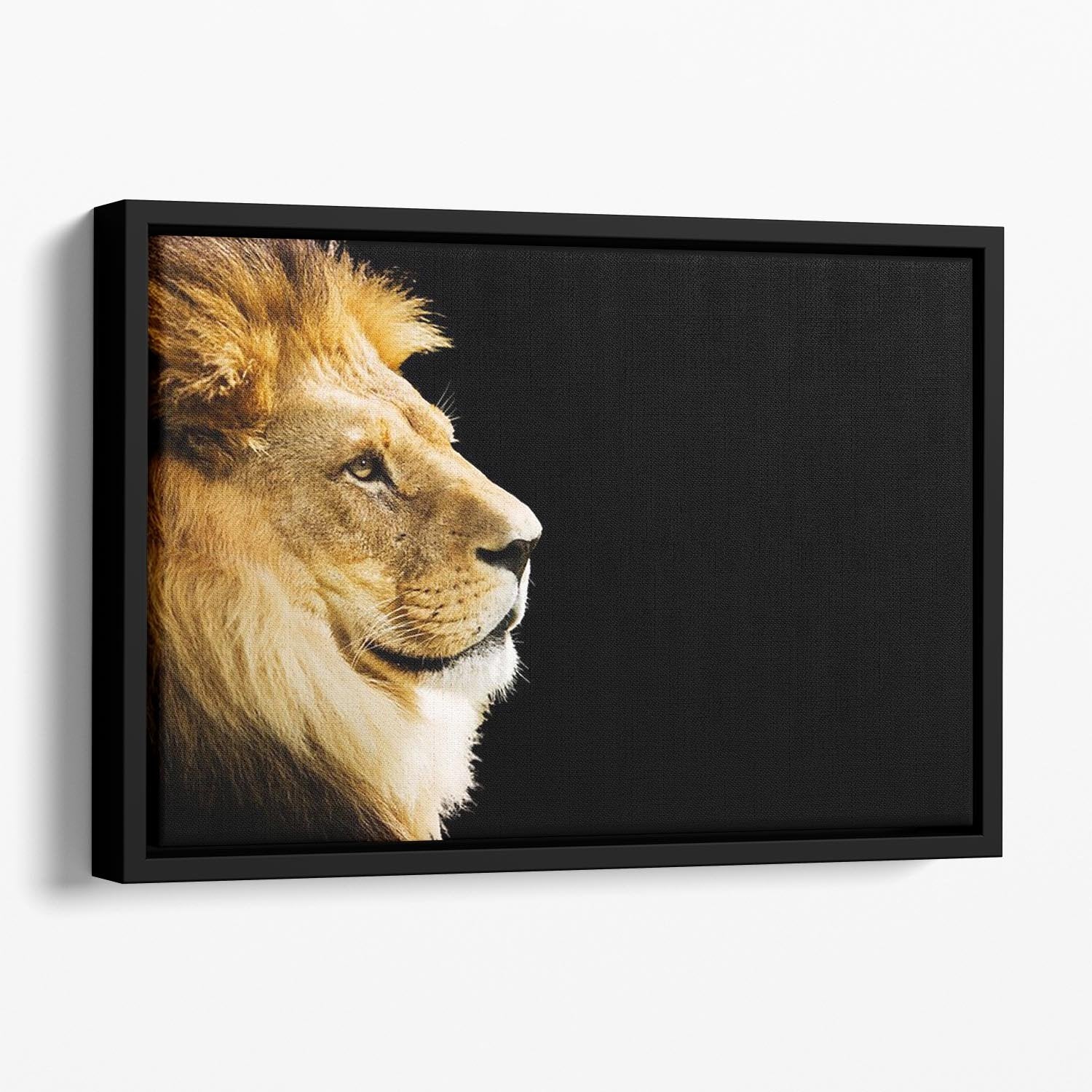 The king of all animals portrait Floating Framed Canvas - Canvas Art Rocks - 1