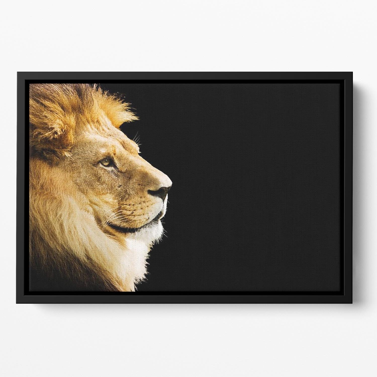 The king of all animals portrait Floating Framed Canvas - Canvas Art Rocks - 2