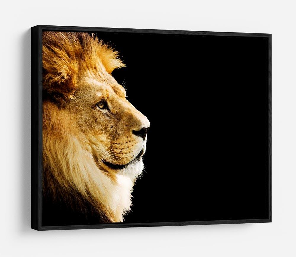 The king of all animals portrait HD Metal Print - Canvas Art Rocks - 6