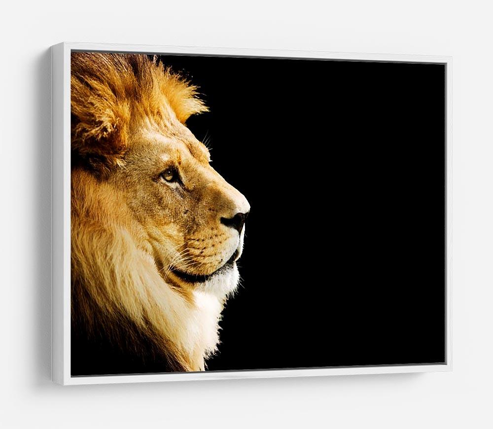 The king of all animals portrait HD Metal Print - Canvas Art Rocks - 7
