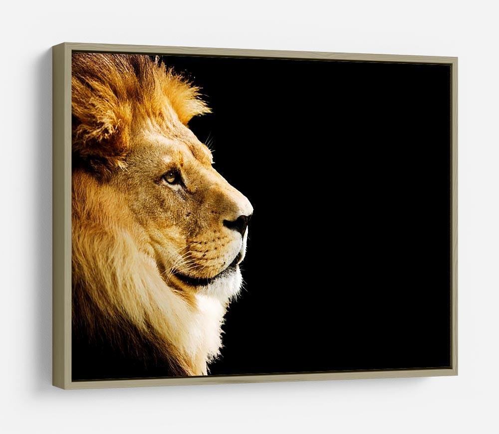 The king of all animals portrait HD Metal Print - Canvas Art Rocks - 8