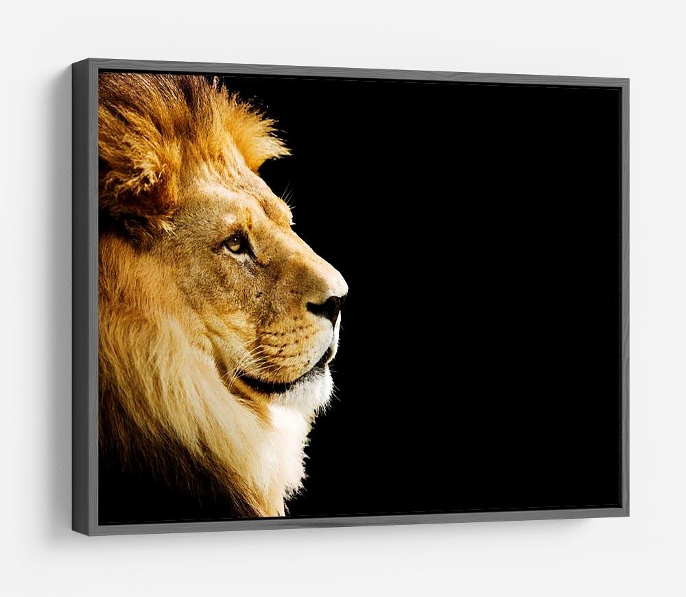 The king of all animals portrait HD Metal Print - Canvas Art Rocks - 9