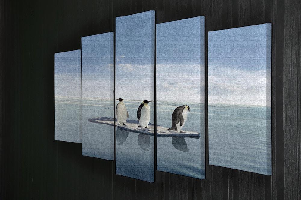 The last penguin survivers 5 Split Panel Canvas - Canvas Art Rocks - 2