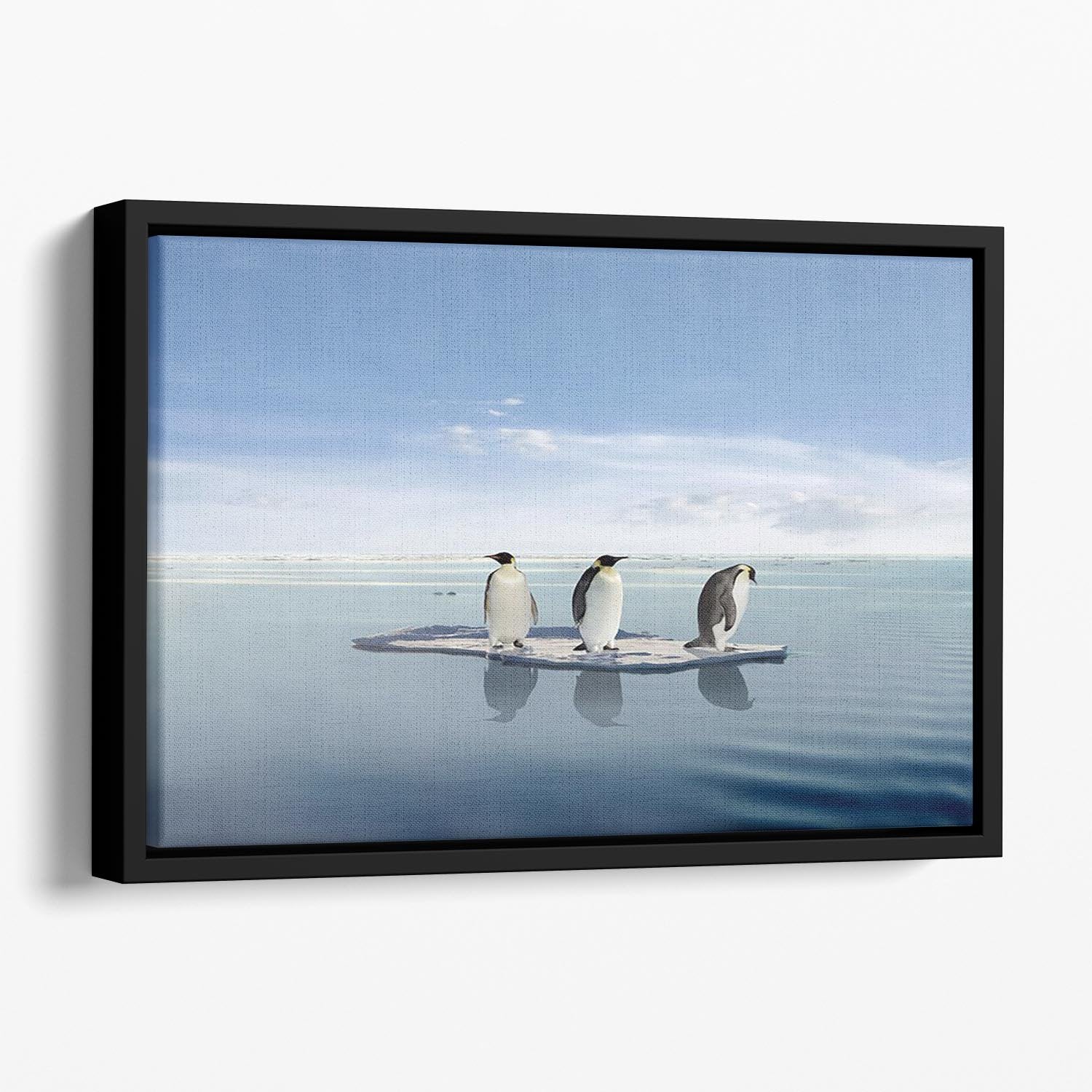The last penguin survivers Floating Framed Canvas - Canvas Art Rocks - 1