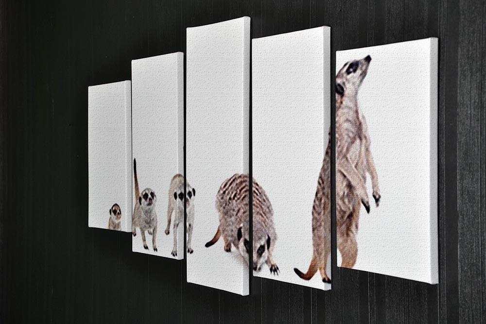 The meerkats on white 5 Split Panel Canvas - Canvas Art Rocks - 2