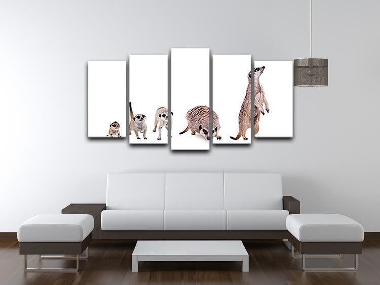 The meerkats on white 5 Split Panel Canvas - Canvas Art Rocks - 3