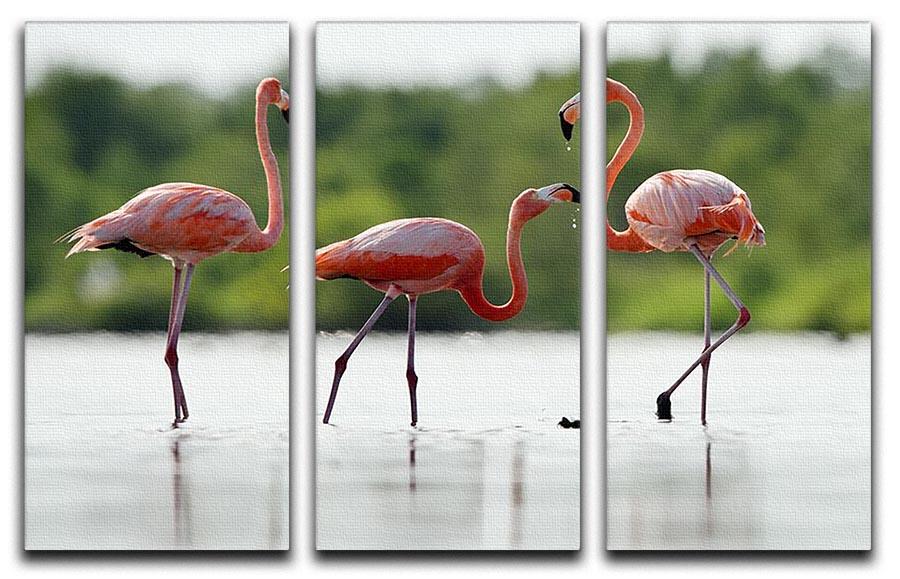 The pink Caribbean flamingo 3 Split Panel Canvas Print - Canvas Art Rocks - 1