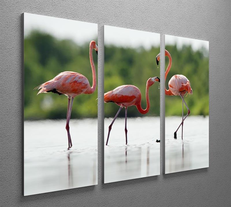 The pink Caribbean flamingo 3 Split Panel Canvas Print - Canvas Art Rocks - 2
