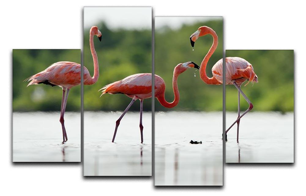 The pink Caribbean flamingo 4 Split Panel Canvas - Canvas Art Rocks - 1