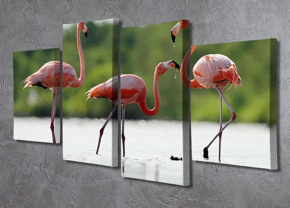 The pink Caribbean flamingo 4 Split Panel Canvas - Canvas Art Rocks - 2