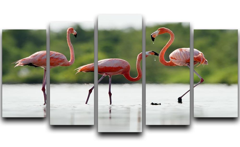 The pink Caribbean flamingo 5 Split Panel Canvas - Canvas Art Rocks - 1