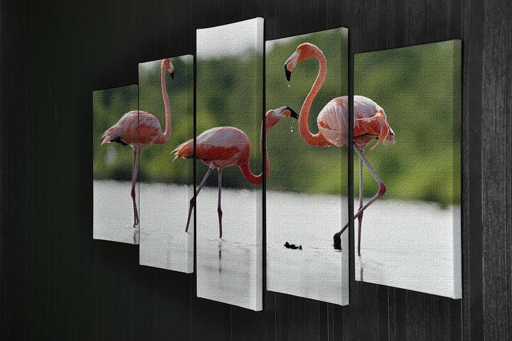 The pink Caribbean flamingo 5 Split Panel Canvas - Canvas Art Rocks - 2