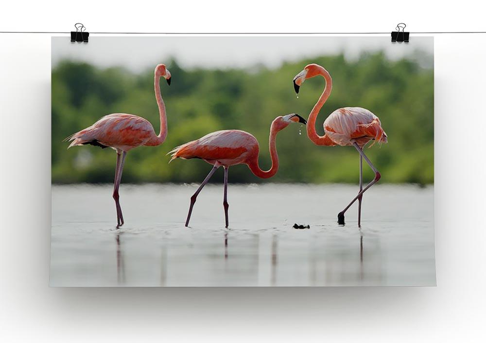 The pink Caribbean flamingo Canvas Print or Poster - Canvas Art Rocks - 2