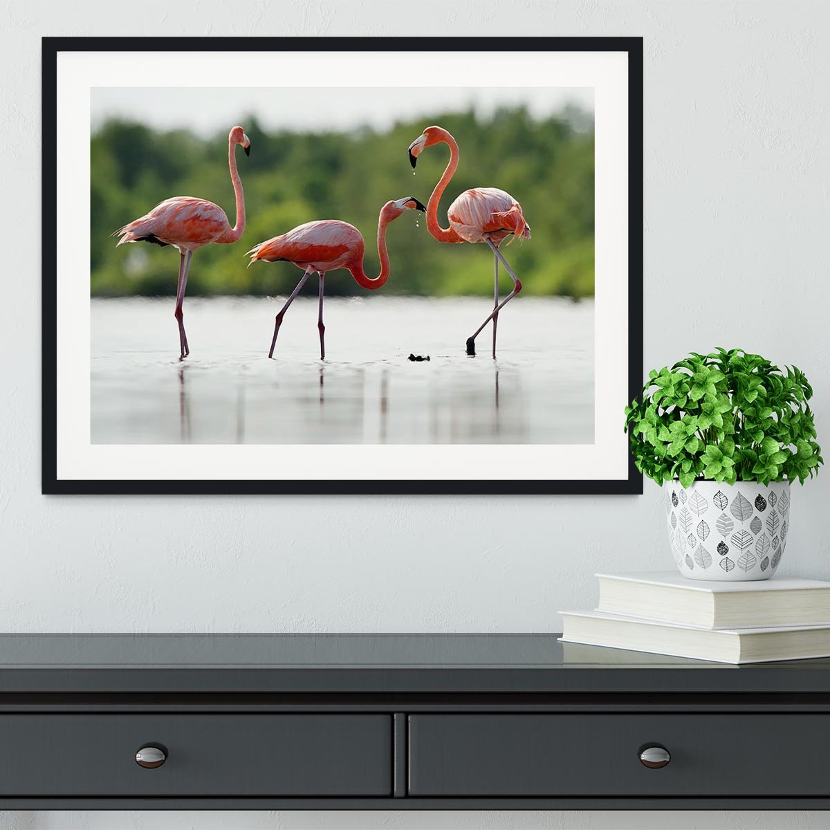 The pink Caribbean flamingo Framed Print - Canvas Art Rocks - 1