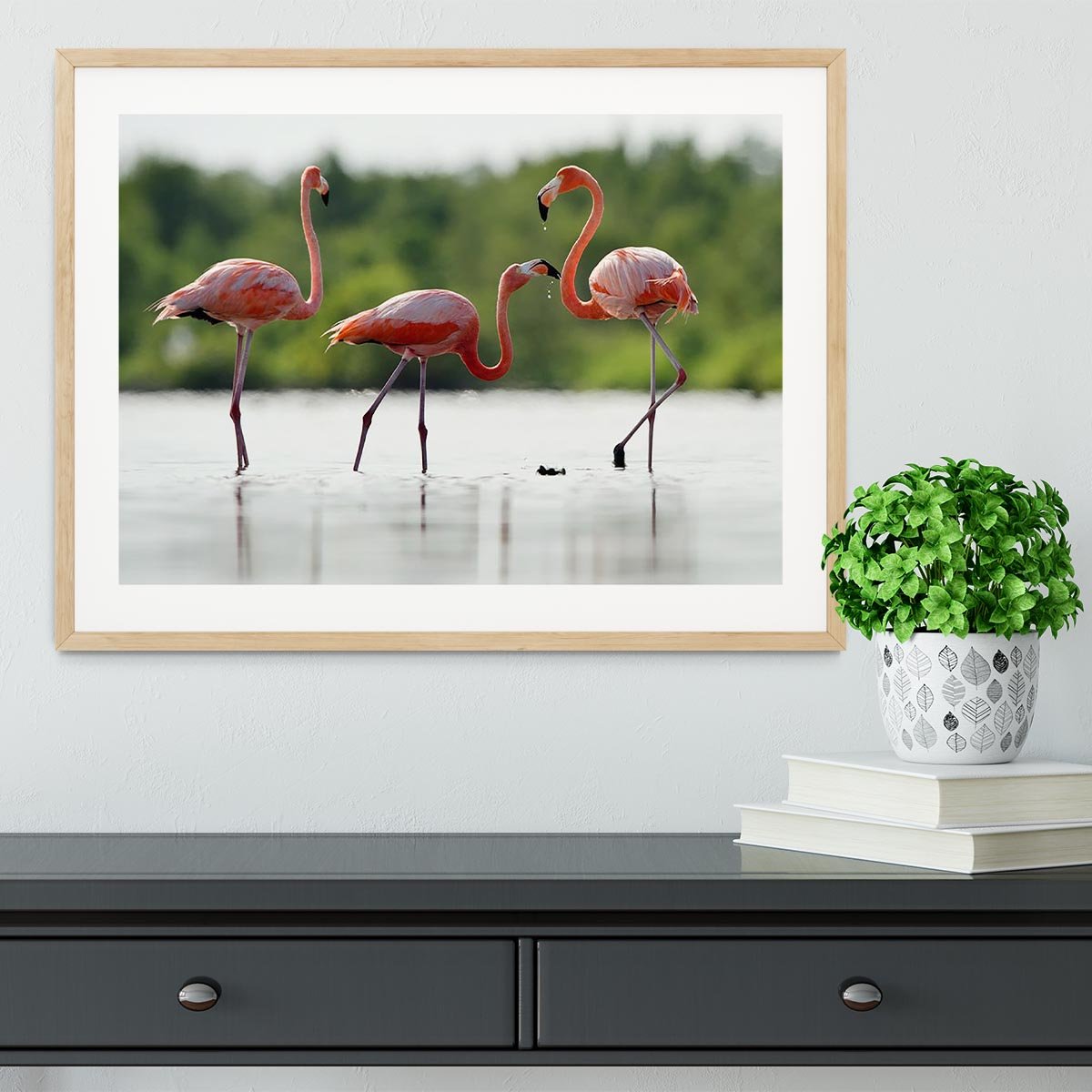 The pink Caribbean flamingo Framed Print - Canvas Art Rocks - 3