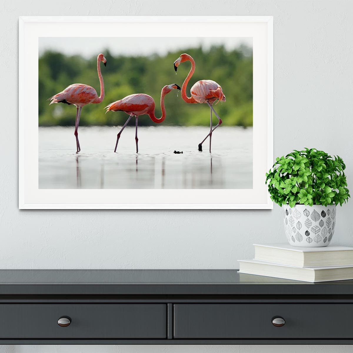 The pink Caribbean flamingo Framed Print - Canvas Art Rocks - 5