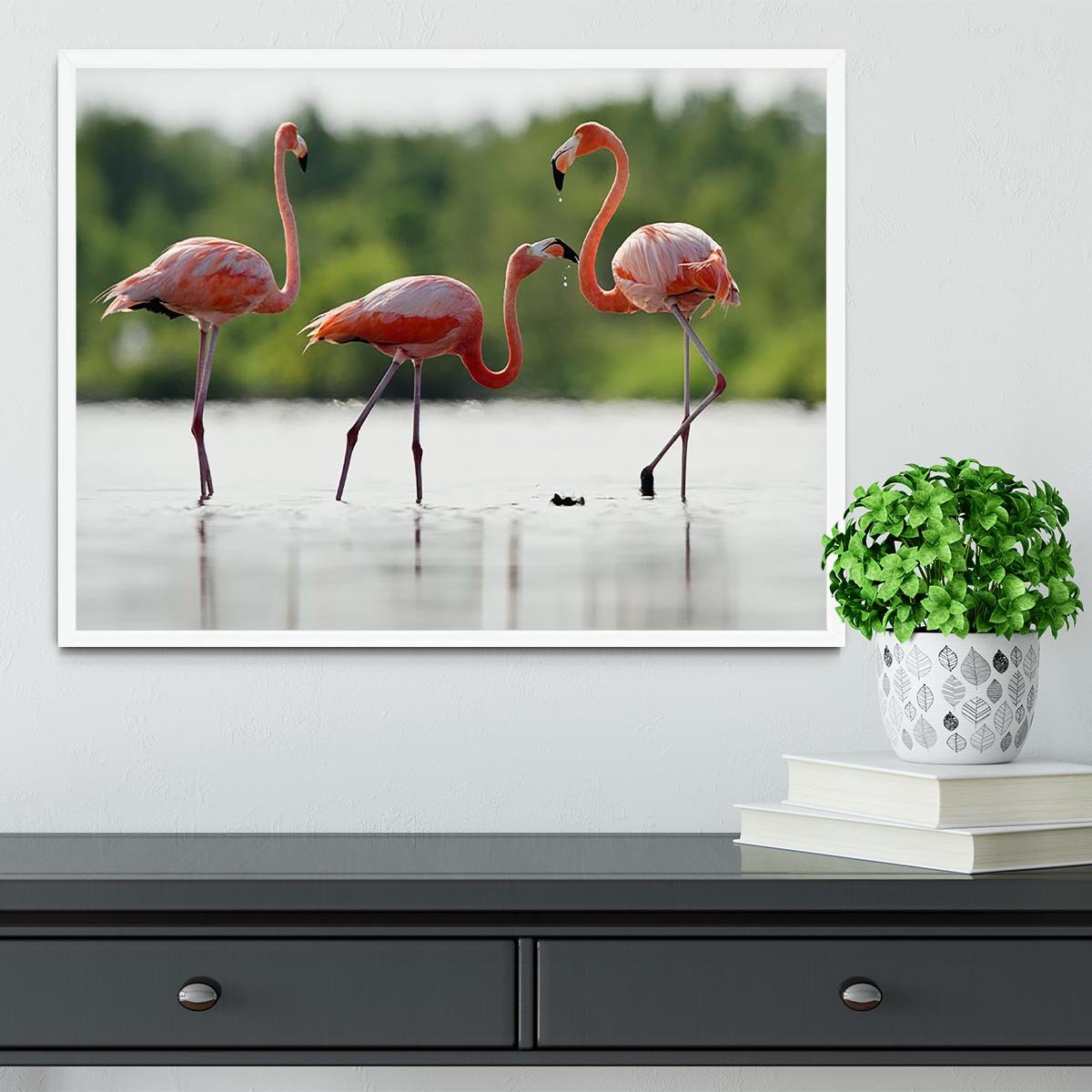 The pink Caribbean flamingo Framed Print - Canvas Art Rocks -6