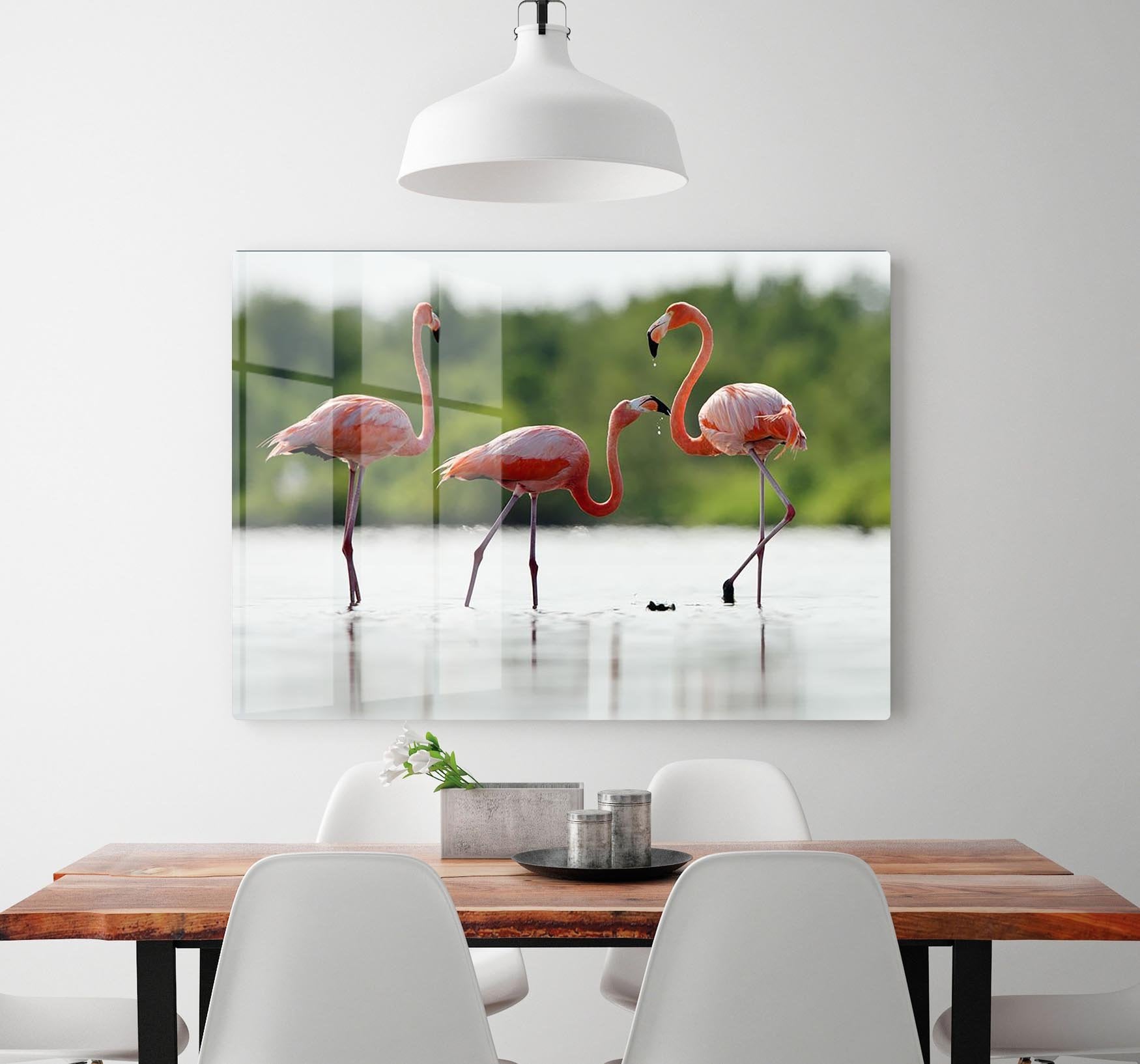 The pink Caribbean flamingo HD Metal Print - Canvas Art Rocks - 2