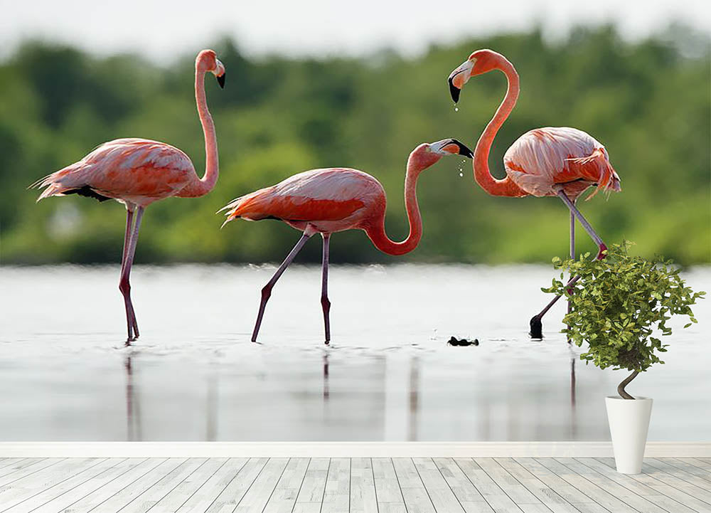 The pink Caribbean flamingo Wall Mural Wallpaper - Canvas Art Rocks - 4