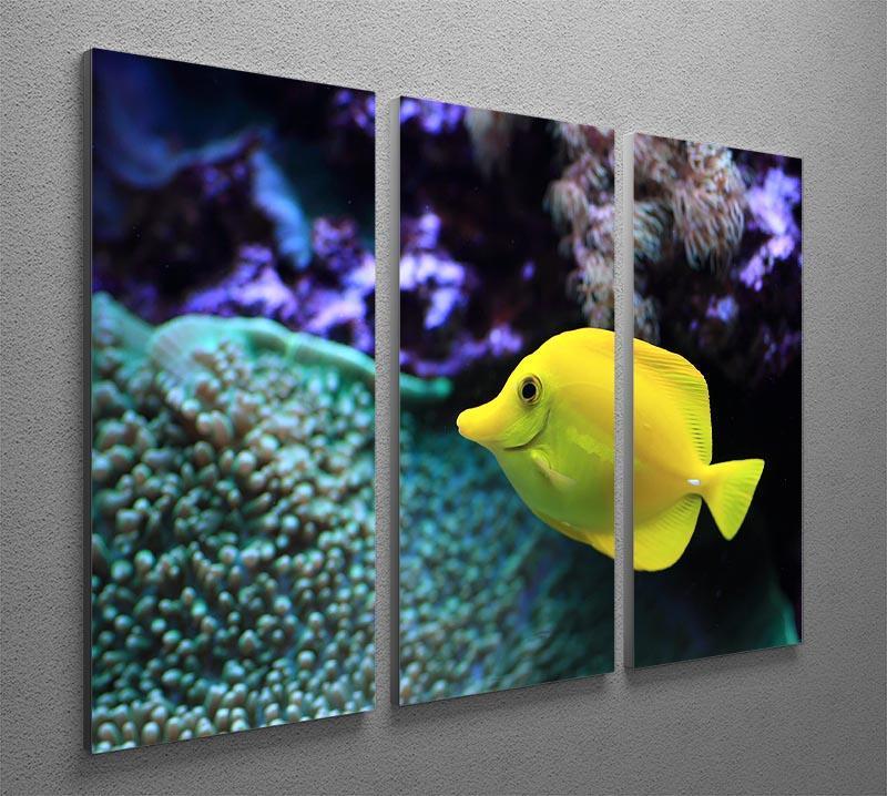 The yellow fish 3 Split Panel Canvas Print - Canvas Art Rocks - 2