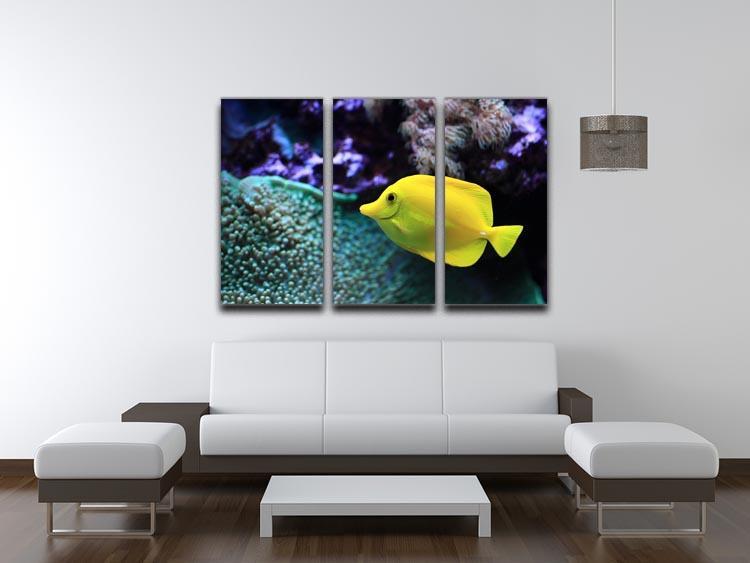The yellow fish 3 Split Panel Canvas Print - Canvas Art Rocks - 3