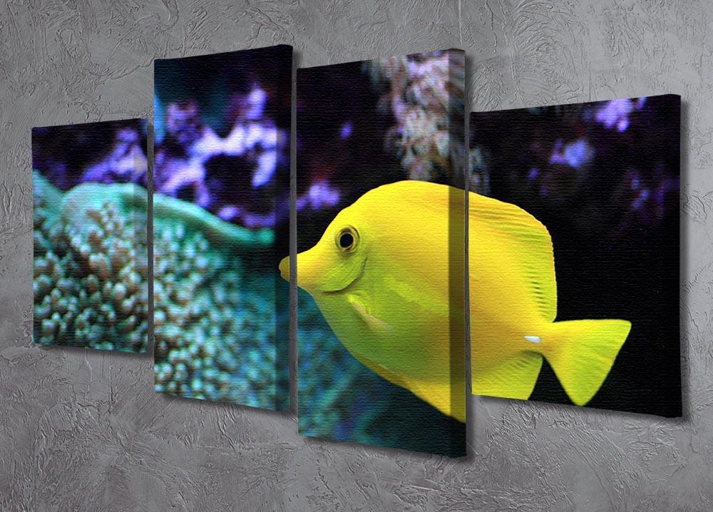 The yellow fish 4 Split Panel Canvas  - Canvas Art Rocks - 2