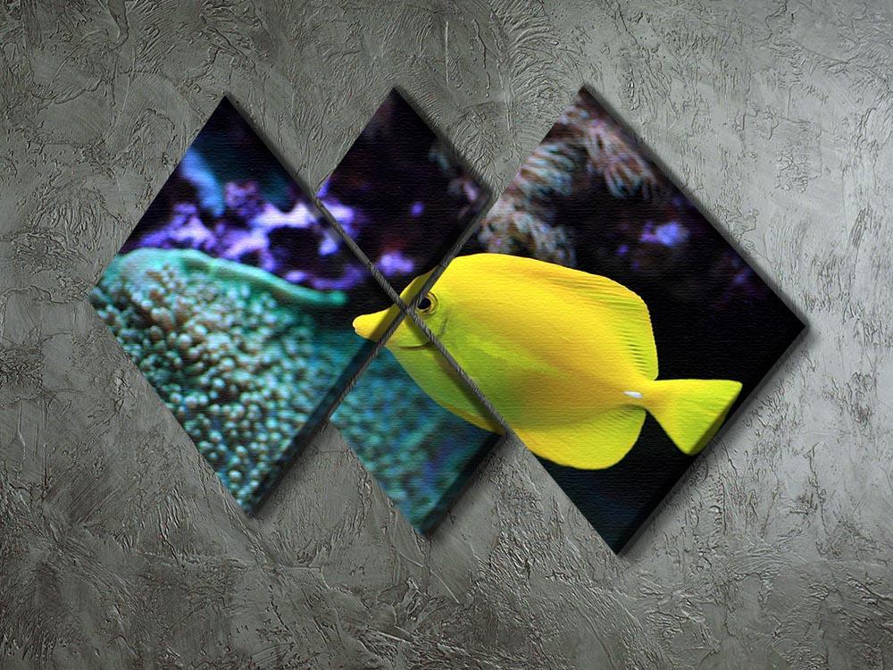 The yellow fish 4 Square Multi Panel Canvas  - Canvas Art Rocks - 2