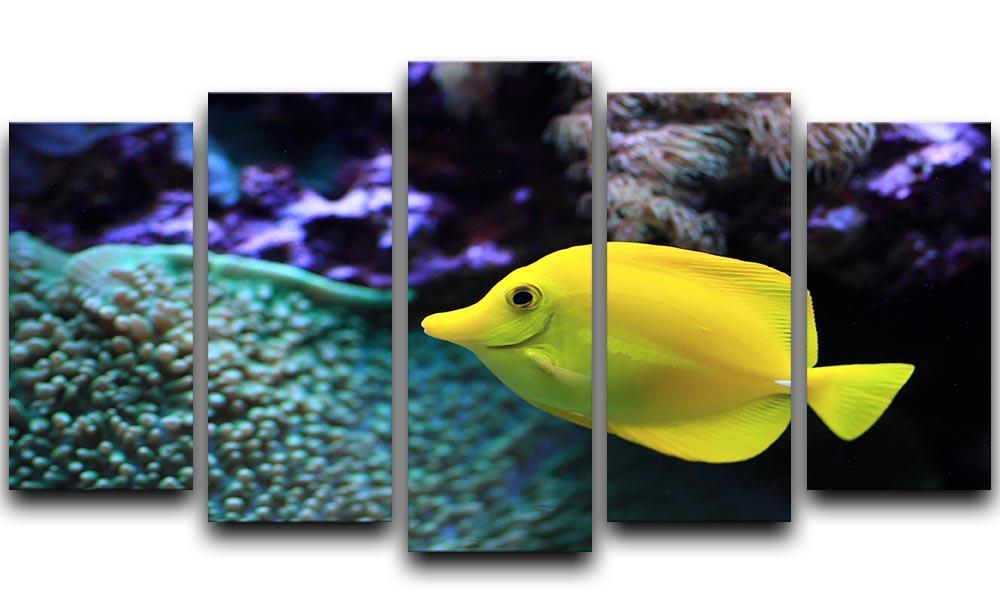 The yellow fish 5 Split Panel Canvas  - Canvas Art Rocks - 1