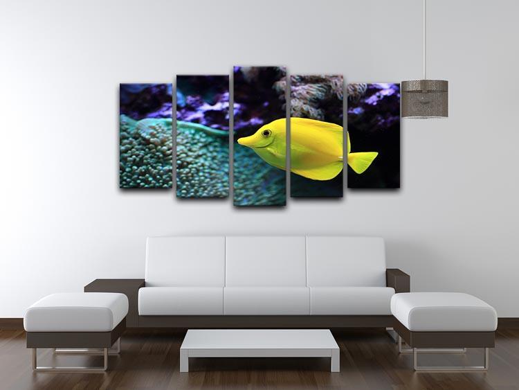 The yellow fish 5 Split Panel Canvas  - Canvas Art Rocks - 3
