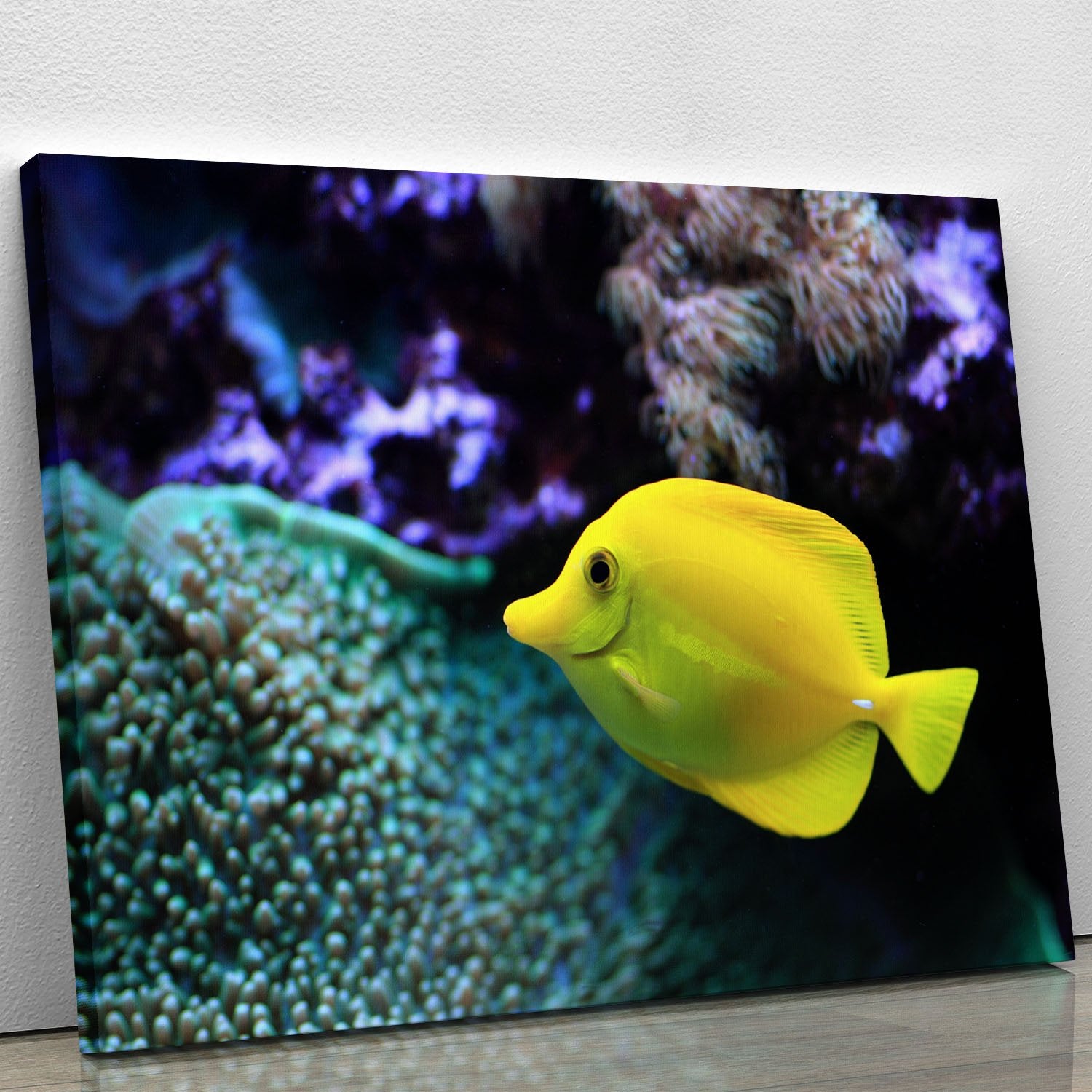 The yellow fish Canvas Print or Poster