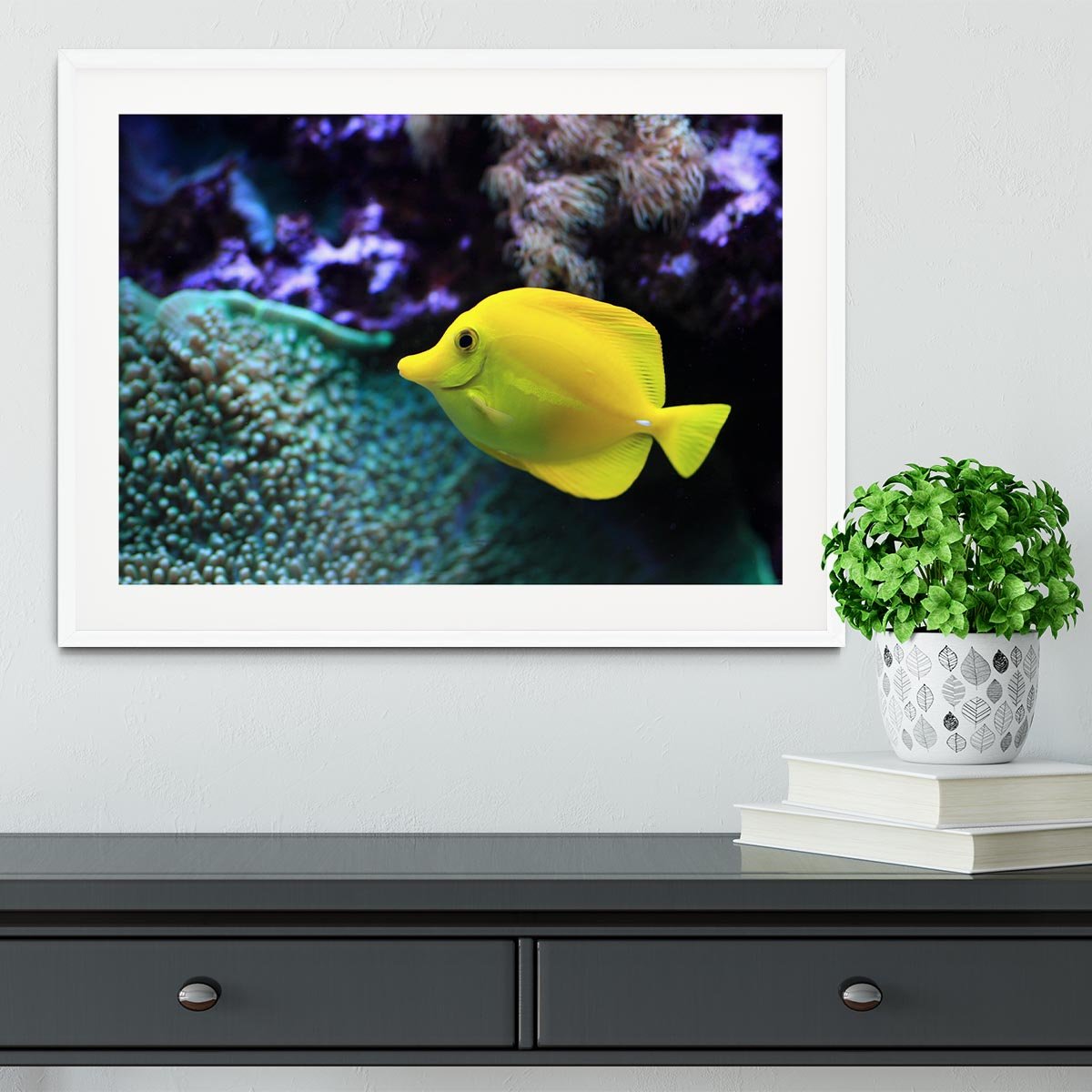 The yellow fish Framed Print - Canvas Art Rocks - 5