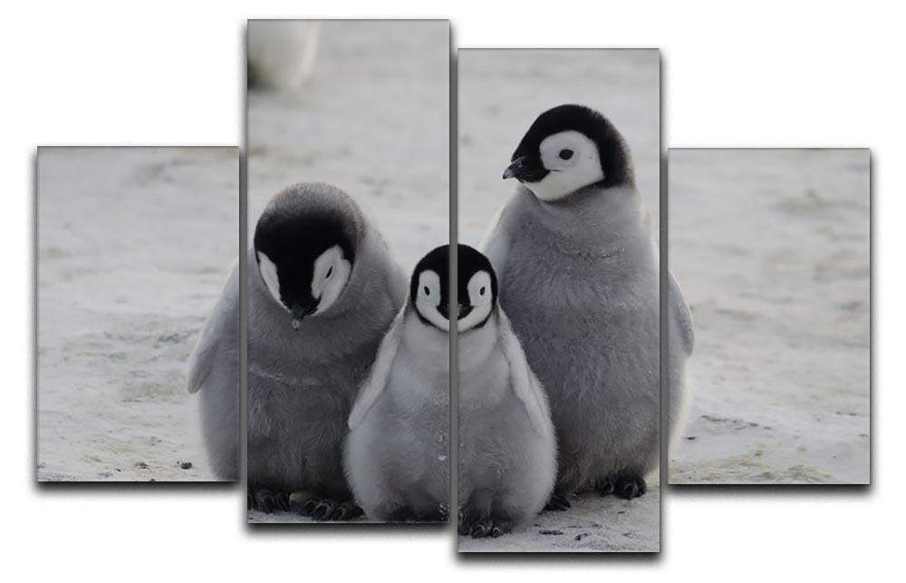 Three Emperor Penguin Chicks Together 4 Split Panel Canvas - Canvas Art Rocks - 1