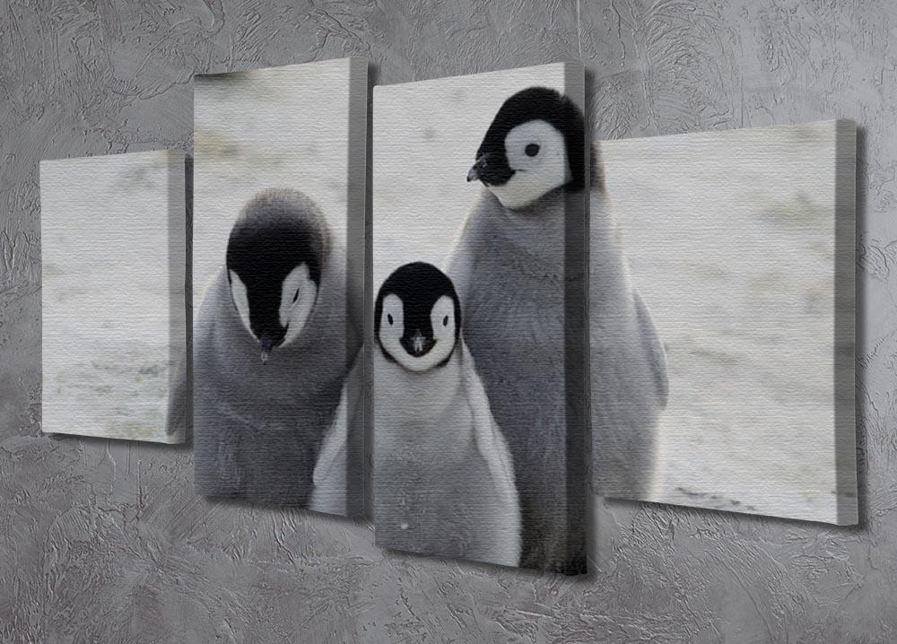 Three Emperor Penguin Chicks Together 4 Split Panel Canvas - Canvas Art Rocks - 2