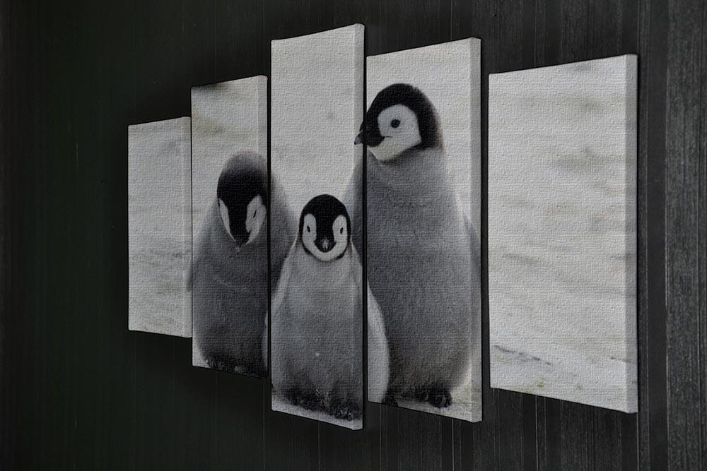 Three Emperor Penguin Chicks Together 5 Split Panel Canvas - Canvas Art Rocks - 2