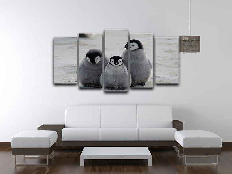 Three Emperor Penguin Chicks Together 5 Split Panel Canvas - Canvas Art Rocks - 3