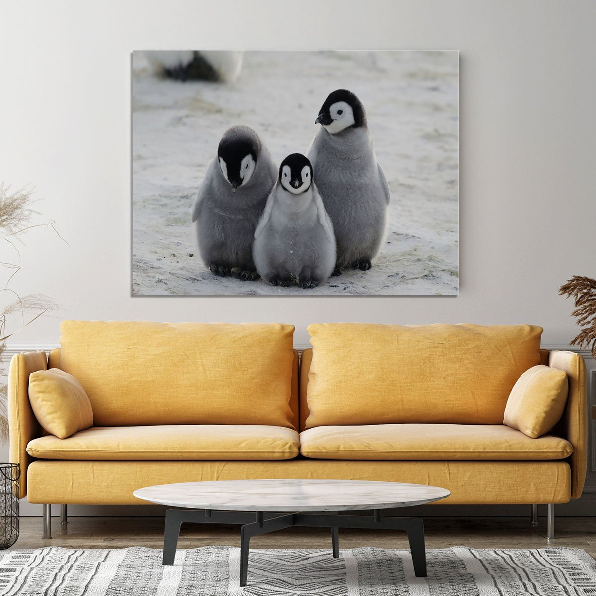 Three Emperor Penguin Chicks Together Canvas Print or Poster