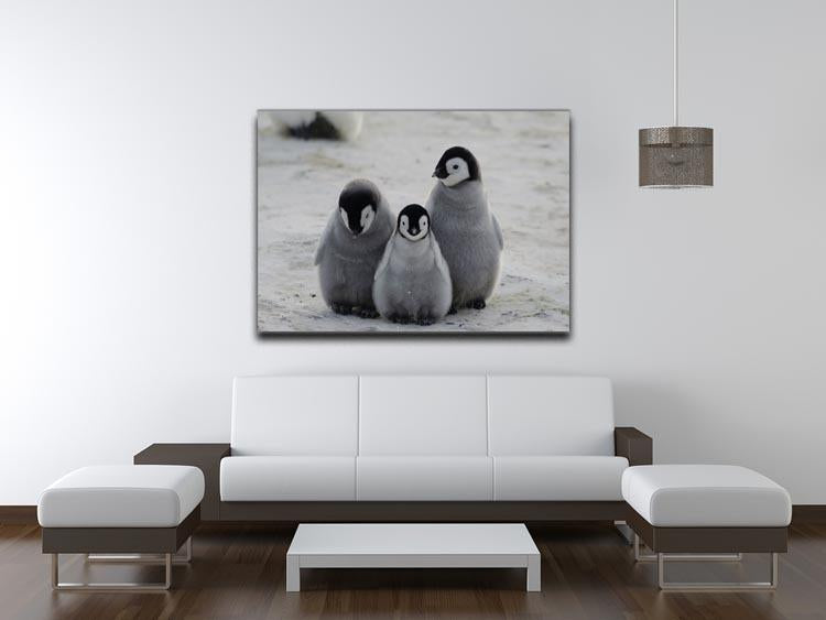 Three Emperor Penguin Chicks Together Canvas Print or Poster - Canvas Art Rocks - 4