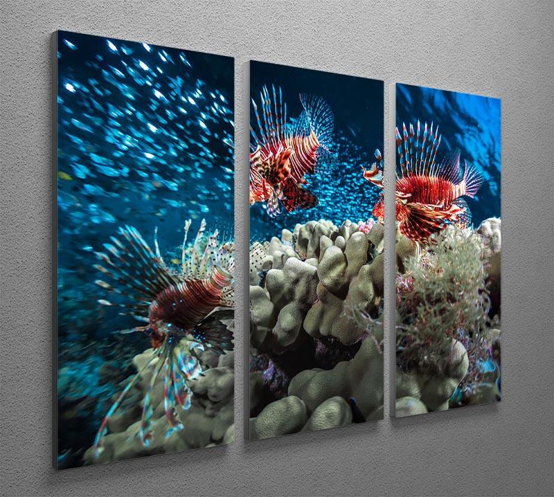 Three Lion fishes and school of bait fish 3 Split Panel Canvas Print - Canvas Art Rocks - 2
