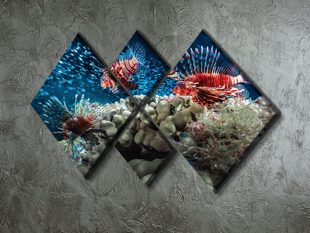 Three Lion fishes and school of bait fish 4 Square Multi Panel Canvas - Canvas Art Rocks - 2