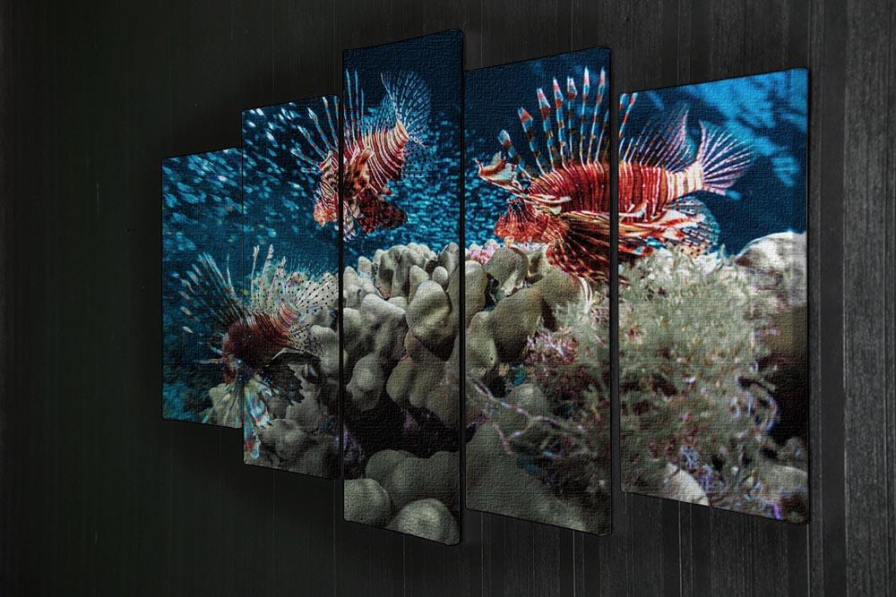 Three Lion fishes and school of bait fish 5 Split Panel Canvas - Canvas Art Rocks - 2