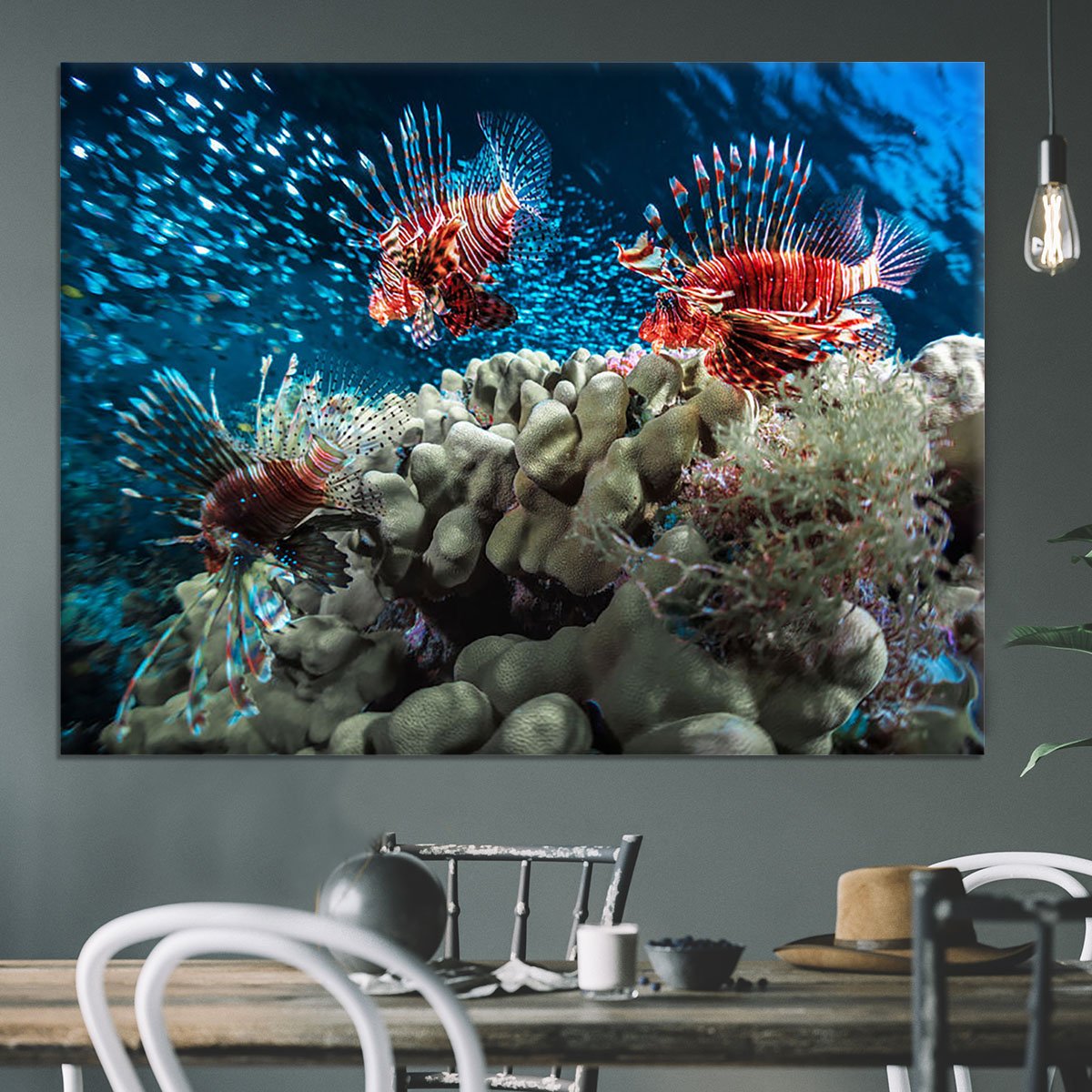 Three Lion fishes and school of bait fish Canvas Print or Poster