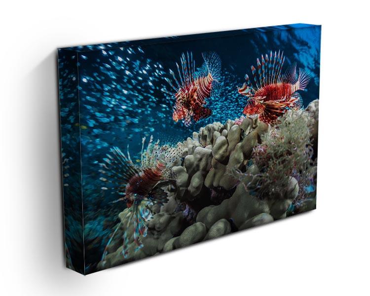 Three Lion fishes and school of bait fish Canvas Print or Poster - Canvas Art Rocks - 3