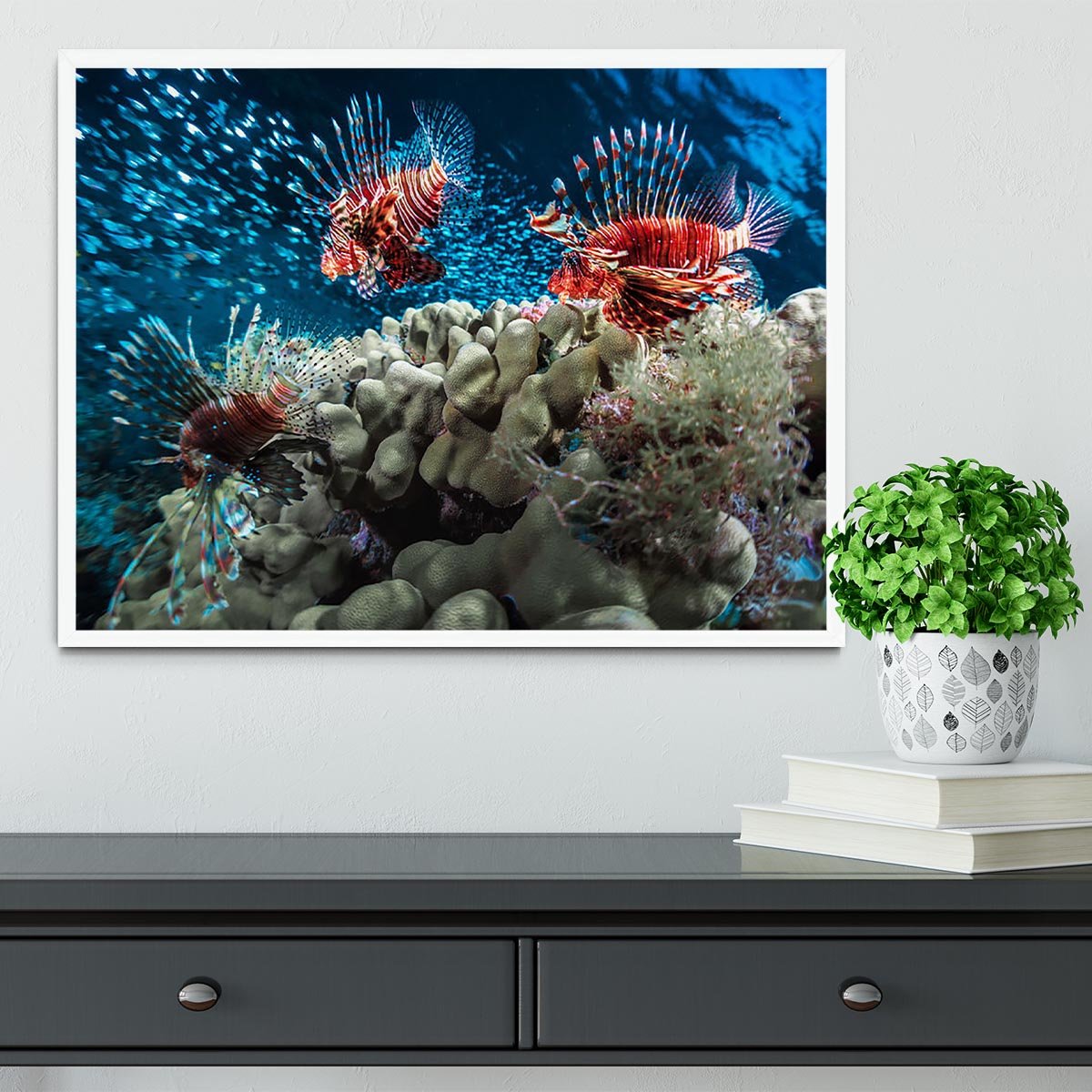 Three Lion fishes and school of bait fish Framed Print - Canvas Art Rocks -6