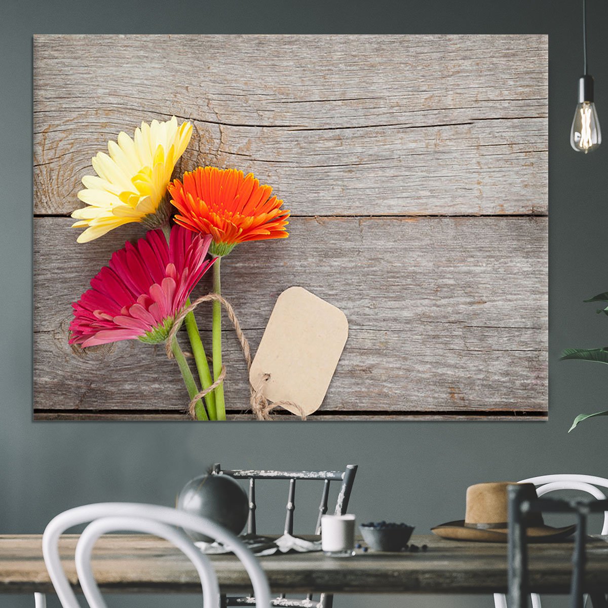 Three colorful gerbera flowers Canvas Print or Poster