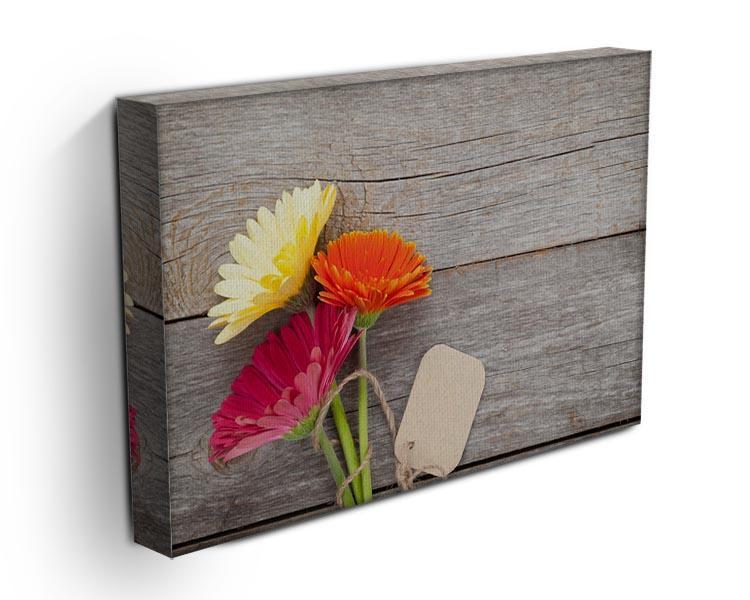 Three colorful gerbera flowers Canvas Print or Poster - Canvas Art Rocks - 3
