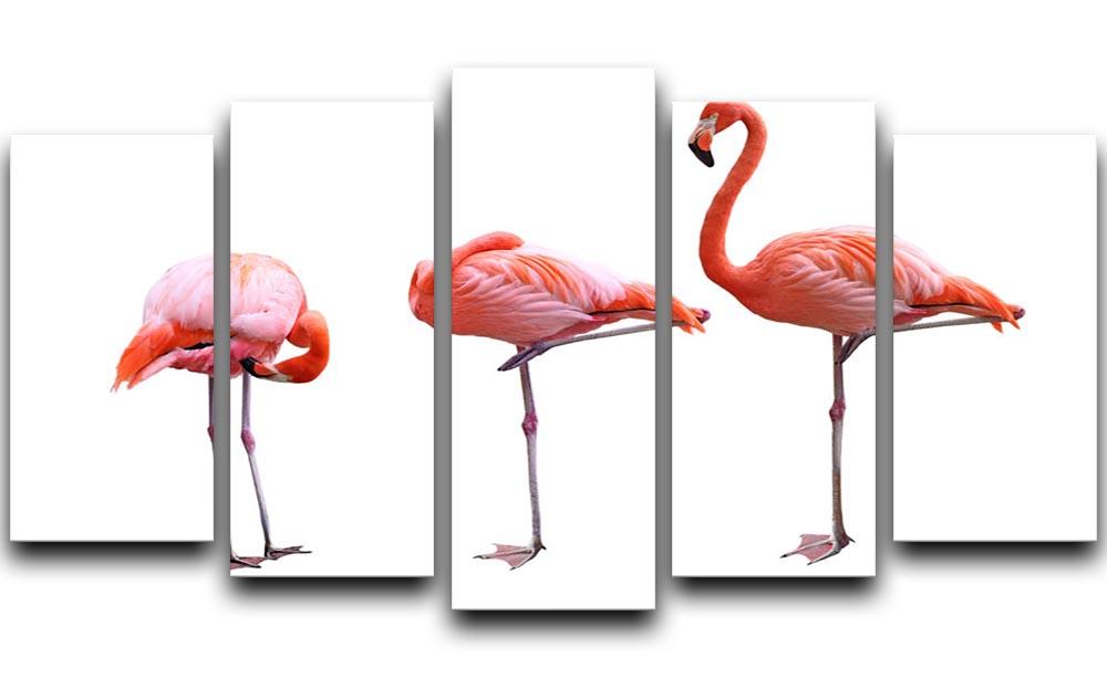 Three flamingo birds isolated on white background 5 Split Panel Canvas - Canvas Art Rocks - 1